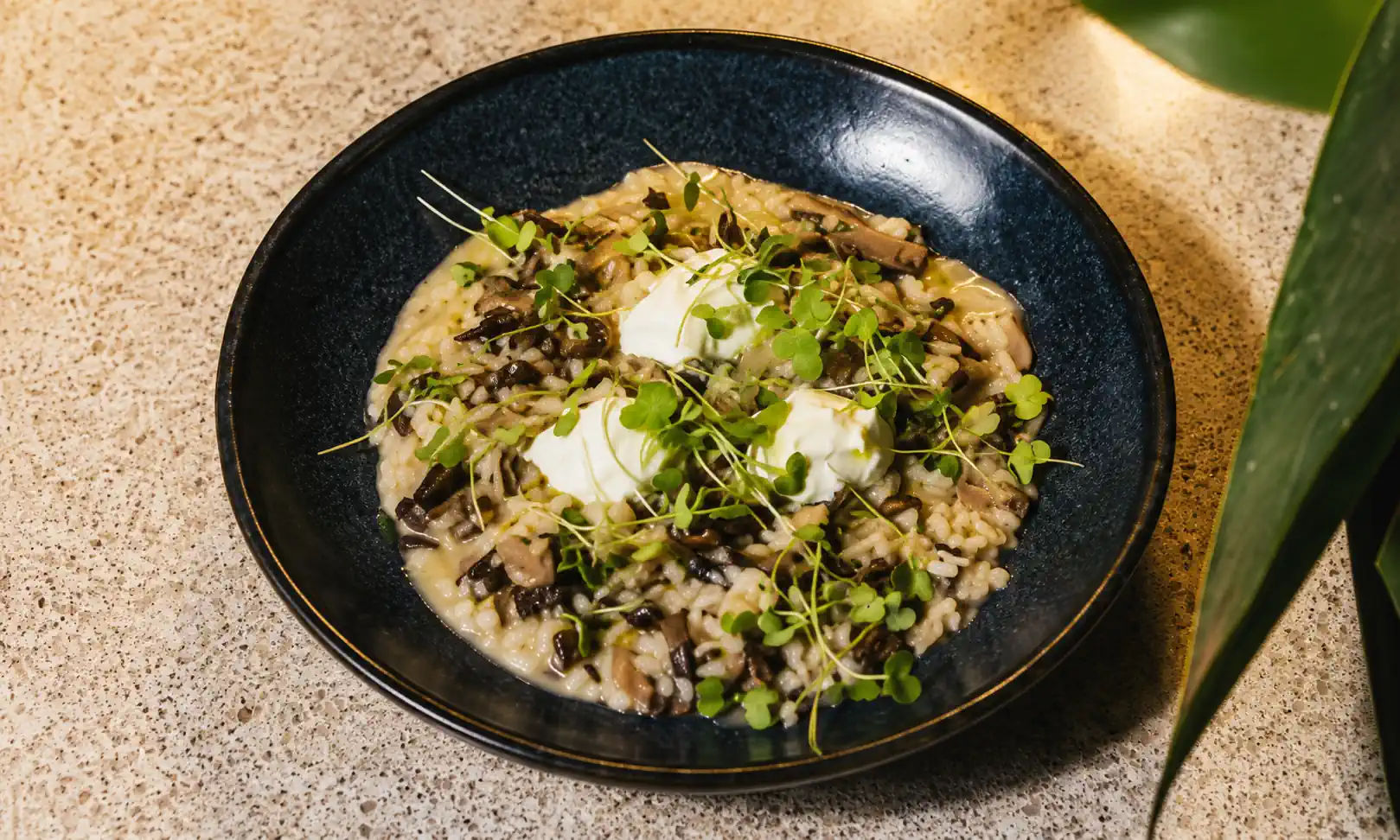 Risoto de cogumelos Marú